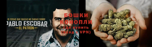 прущие грибы Абаза