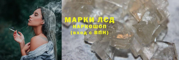прущие грибы Абаза