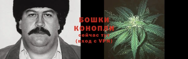 прущие грибы Абаза