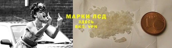 прущие грибы Абаза