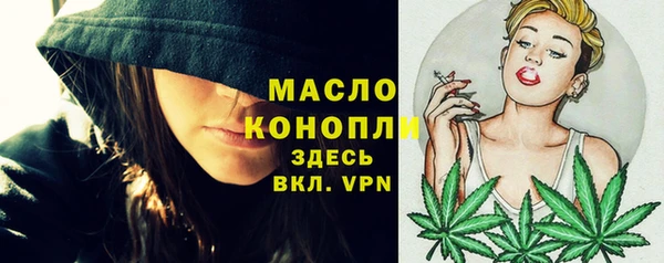 прущие грибы Абаза
