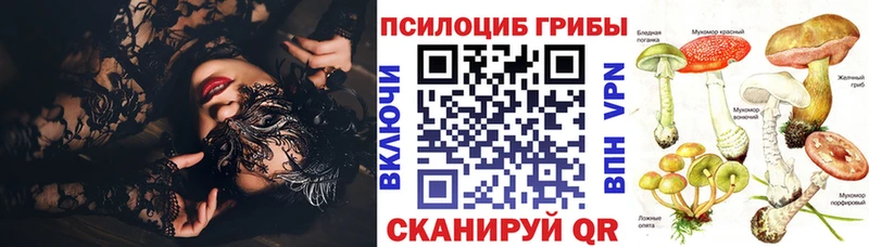 Псилоцибиновые грибы Cubensis  Исилькуль 